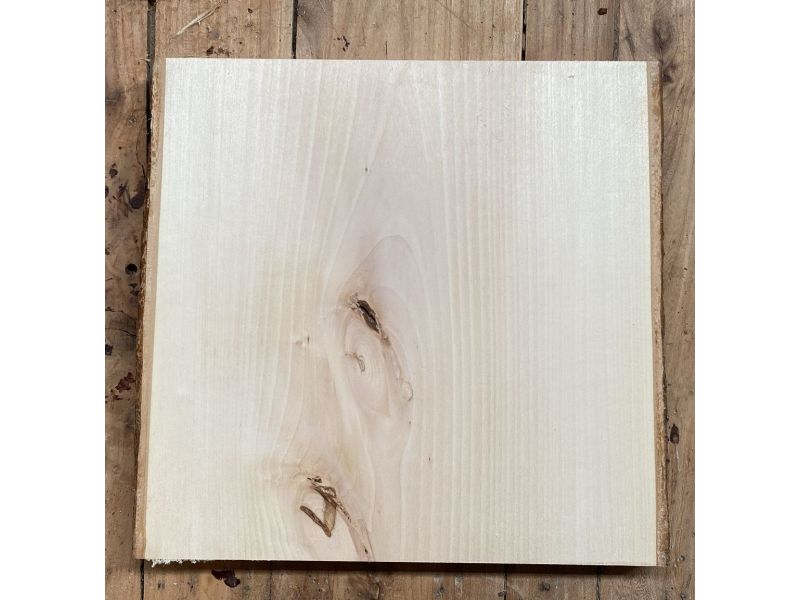 Pezzo unico in legno massiccio di tiglio con corteccia, per pirografia, 31x30 cm