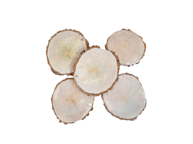 Ensemble de 5 pices diverses RONDES en bois d'Aulne, avec corce, pour pyrogravure