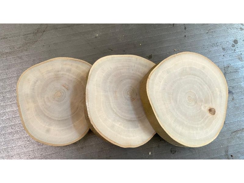 ROUND piece in plane wood , with bark, for pyrography d. 9-11 cm