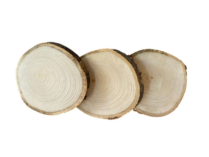 ROUND pieces in linden , with bark, for pyrography d. 14-15 cm