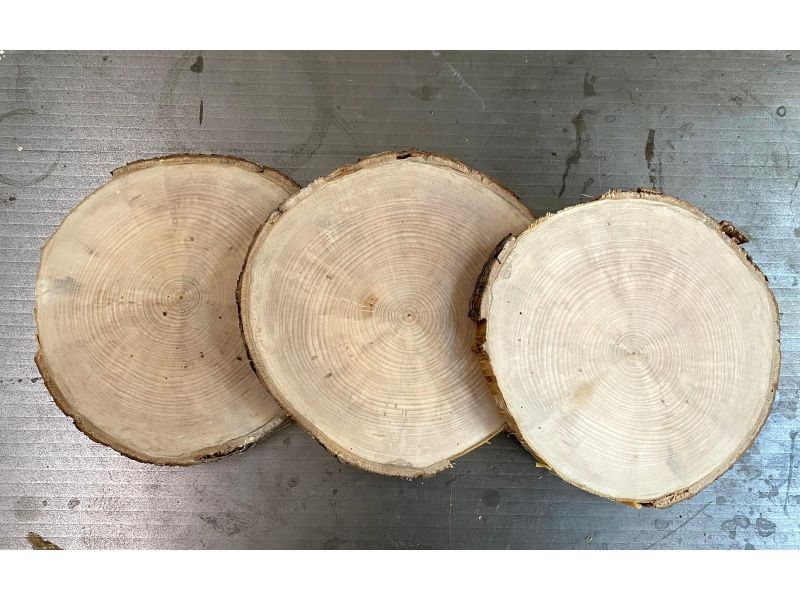 Pezzi  TONDI in legno di tiglio, con corteccia, per pirografia diam 20-22 cm