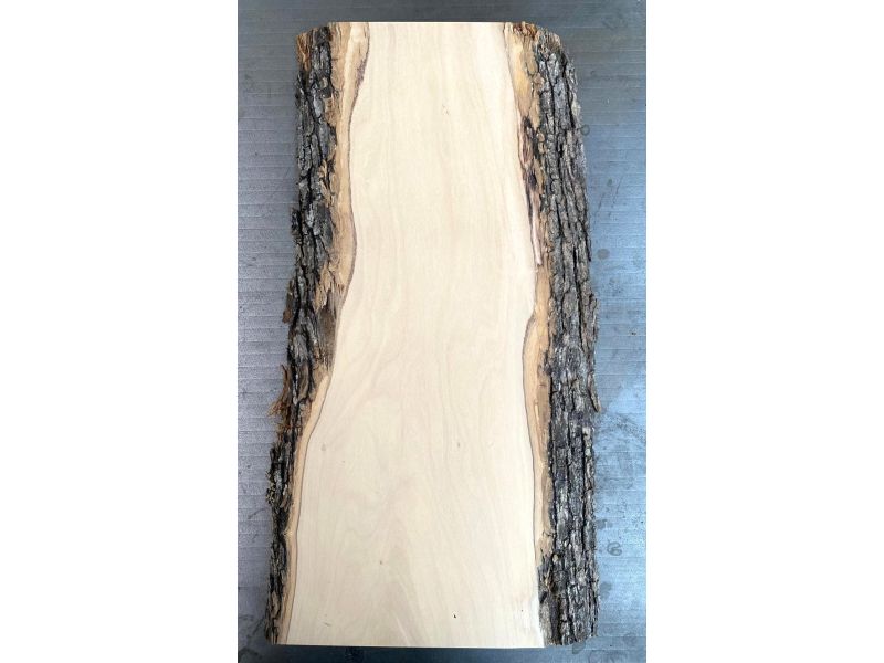 Unique piece in solid olive wood with chamfers and bark 15x42cm