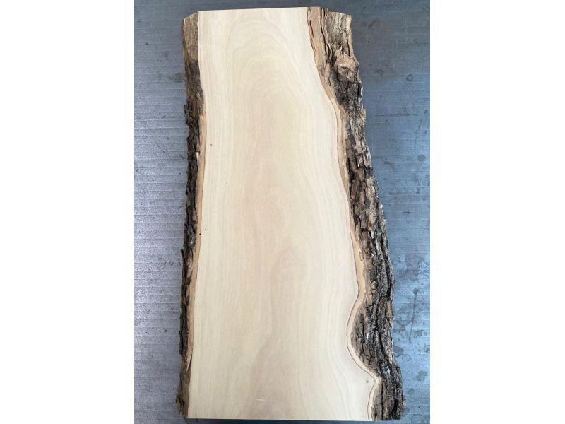 Unique piece in solid olive wood with chamfers and bark 17x44cm