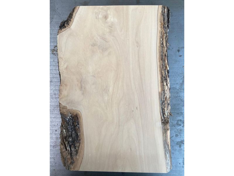 Unique piece in solid olive wood with chamfers and bark 20x35cm