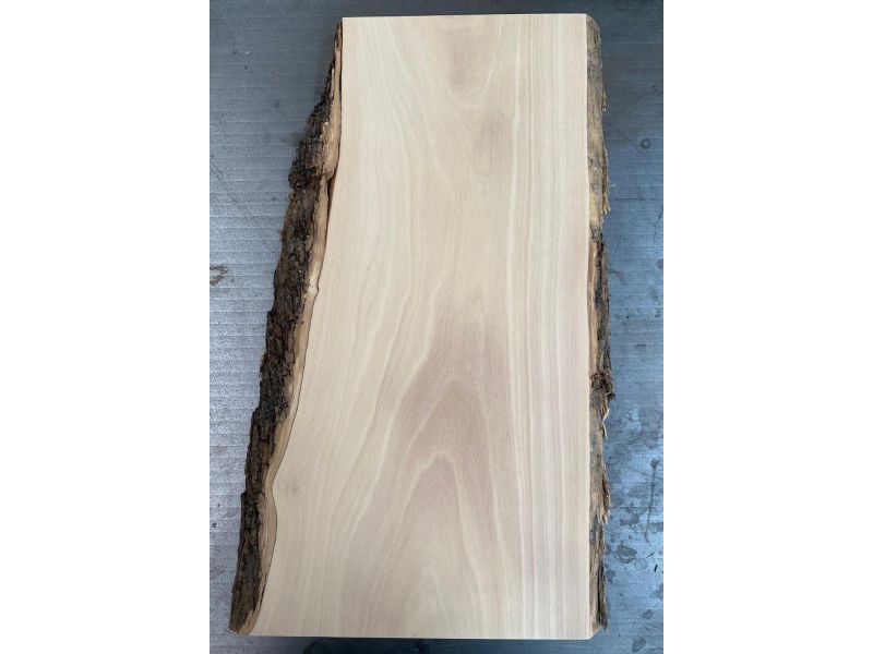 Unique piece in solid olive wood with chamfers and bark 20x44cm