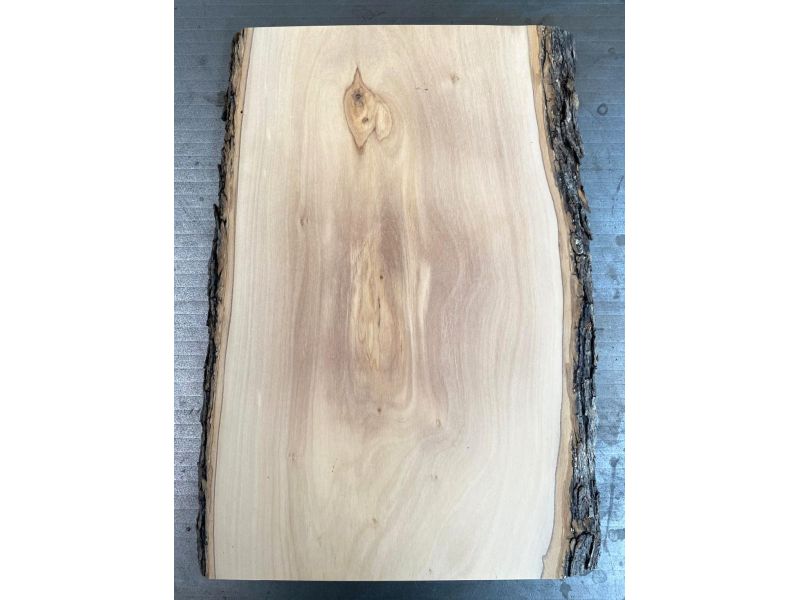 Unique piece in solid olive wood with chamfers and bark 22x35 cm