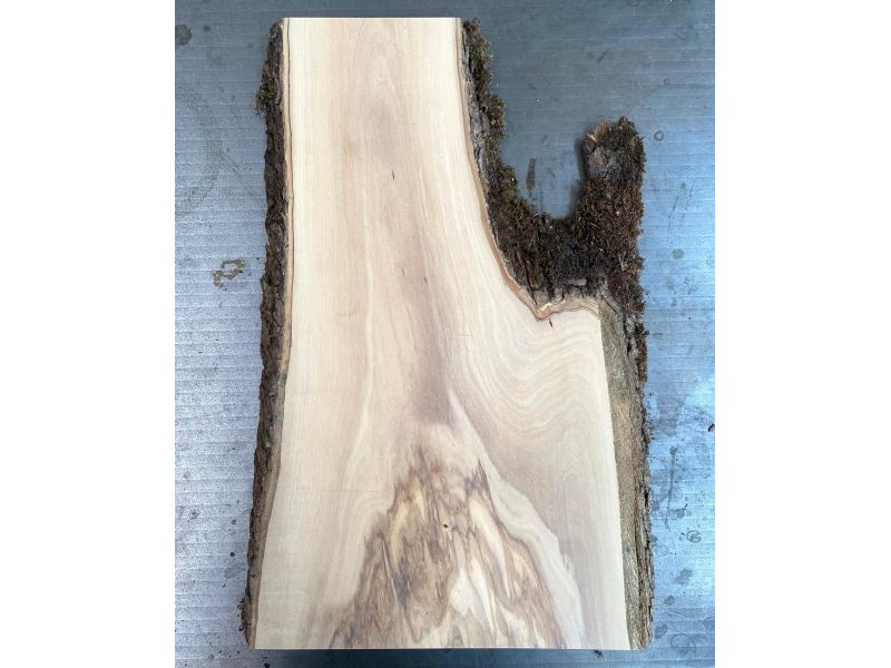 Unique piece in solid olive wood with chamfers and bark 22x45cm