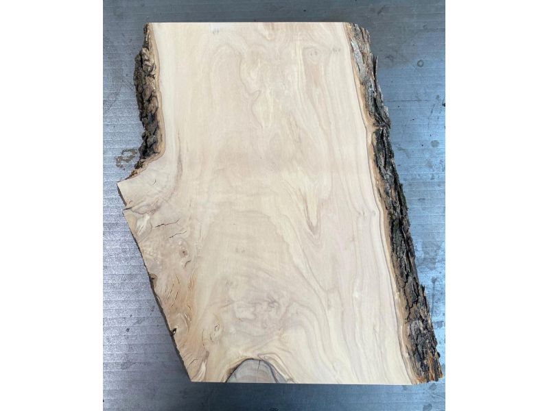 Unique piece in solid olive wood with chamfers and bark 25x37cm