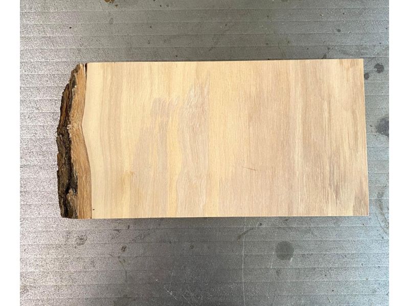 Unique piece in solid olive wood with chamfers and bark 18x10 cm