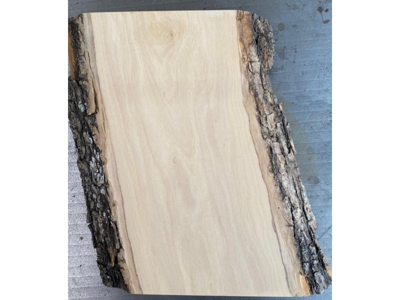 Unique piece in solid olive wood with chamfers and bark 13x23cm