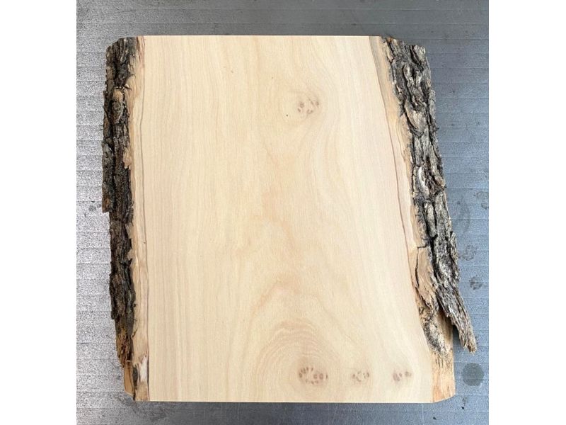 Pezzo unico in legno massiccio di ulivo con smussi e corteccia 14x20 cm