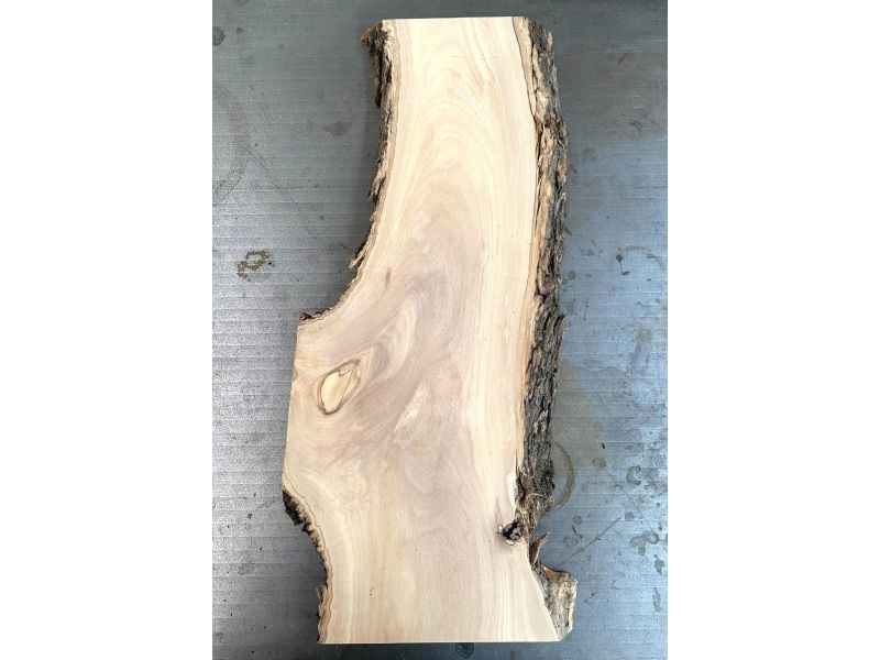 Pi�ce unique en bois d'olivier massif avec chanfreins et �corce 15x44 cm