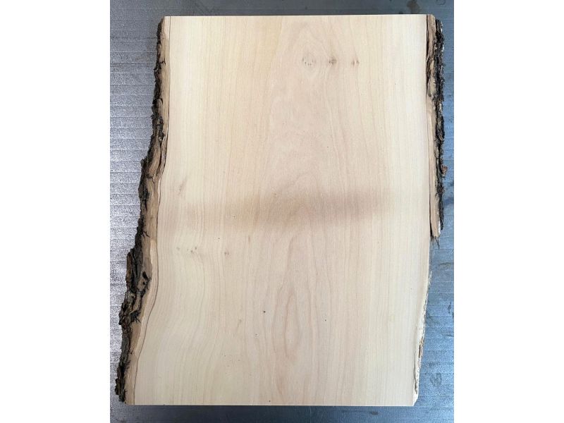 Pezzo unico in legno massiccio di ulivo con smussi e corteccia 20x30 cm