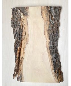 Unique piece in solid olive wood with chamfers and bark 15x34 cm