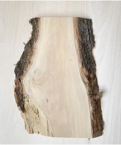 Unique piece in solid olive wood with chamfers and bark 16x30 cm