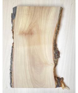 Unique piece in solid olive wood with chamfers and bark  18x34 cm