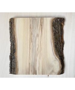 Unique piece in solid olive wood with chamfers and bark 19x25 cm