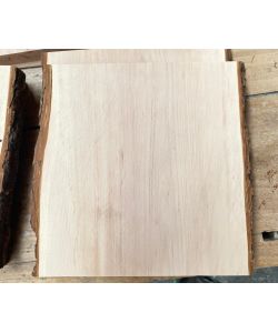 Varias piezas en madera maciza de ALISO de 25-27 cm de ancho, 25 cm de alto