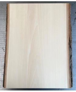 Unique piece in solid lime wood, with bark, for pyrography, 25-28x35 cm