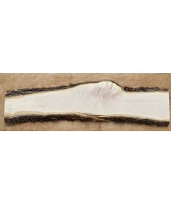 Unique piece in solid MAPLE wood, width 20 cm, height 101,5 cm