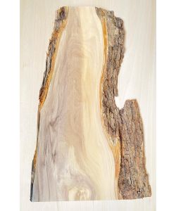 Unique piece in solid olive wood with chamfers and bark  21x50 cm