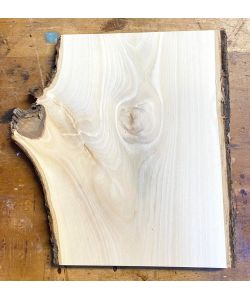 Pezzo unico in leassiccio di Tiglio, con corteccia, per pirografia, 22x29,5 cm