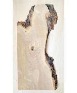 Unique piece in solid olive wood with chamfers and bark  22x52 cm