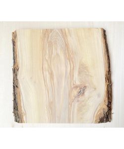 Unique piece in solid olive wood with chamfers and bark 23x25 cm