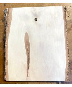 Pezzo unico in legno massiccio di BETULLA, larghezza 23 cm, altezza 30 cm