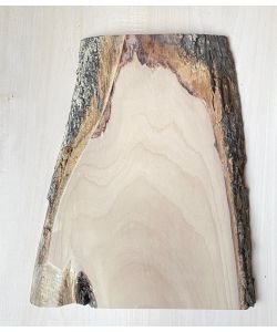 Unique piece in solid olive wood with chamfers and bark 23x34 cm