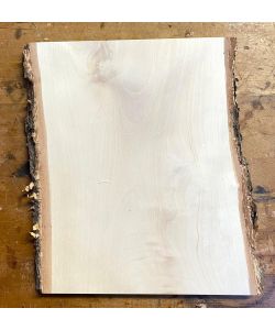 Pezzo unico in legno massiccio di BETULLA, larghezza 24 cm, altezza 30 cm