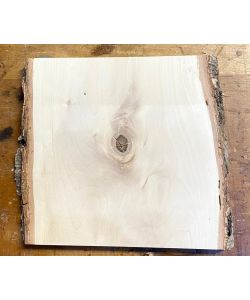 Pezzo unico in legno massiccio di BETULLA, larghezza 25 cm, altezza 26 cm