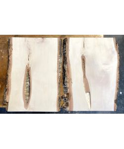 Pezzo unico in legno massiccio di BETULLA, larghezza 25 cm, altezza 38 cm