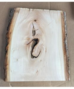 Pieza nica en madera maciza de tilo, con corteza, para pirograbado, 26x31 cm