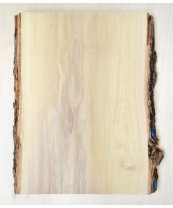 Unique piece in solid olive wood with chamfers and bark  26x35 cm