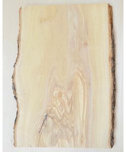 Unique piece in solid olive wood with chamfers and bark  26x40 cm
