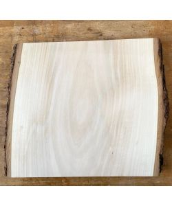 Pièce unique en bois de tilleul massif, avec écorce, pour pyrogravure, 31x28 cm