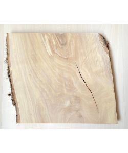Unique piece in solid olive wood with chamfers and bark  32x30 cm