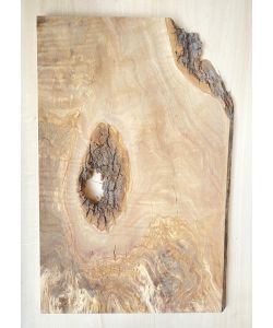 Unique piece in solid olive wood with chamfers and bark  32x50 cm
