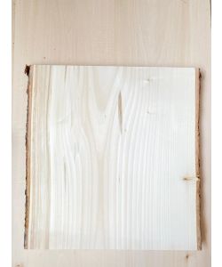Pezzo unico in leassiccio di Tiglio, con corteccia, per pirografia, 37x40 cm