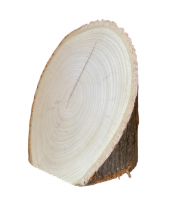 Pezzo unico tronchetto in Tiglio, con corteccia, obliquo, per pirografia, faccia 16x23 cm