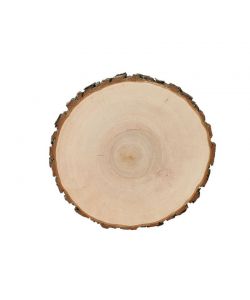 Varias piezas REDONDAS en madera de Aliso, con corteza, para pirograbado