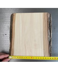 Pezzo unico in legno massiccio di tiglio con corteccia, per pirografia, 18x20 cm
