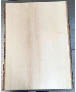 Unique piece in solid lime wood, with bark, for pyrography, 30-32x45 cm