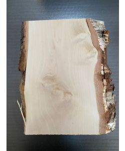 Pieza nica, en madera maciza de ABEDUL con biseles y corteza, 23x39 cm, para pirograbado