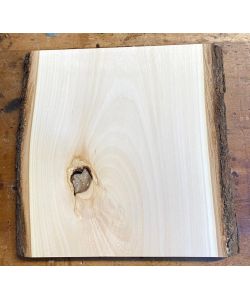 Pezzo unico in leassiccio di Tiglio, con corteccia, per pirografia, 26x28 cm