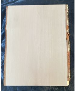 Unique piece in solid BIRCH wood, width 25 cm, height 35 cm