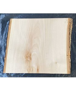 Pezzo unico in leassiccio di Tiglio, con corteccia, per pirografia, 30x28 cm