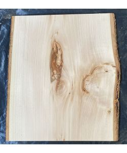 Pezzo unico in leassiccio di Tiglio, con corteccia, per pirografia, 32x40 cm