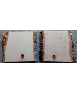 Unique piece in solid BIRCH wood with wood knot, width 15-20 cm, height 20 cm